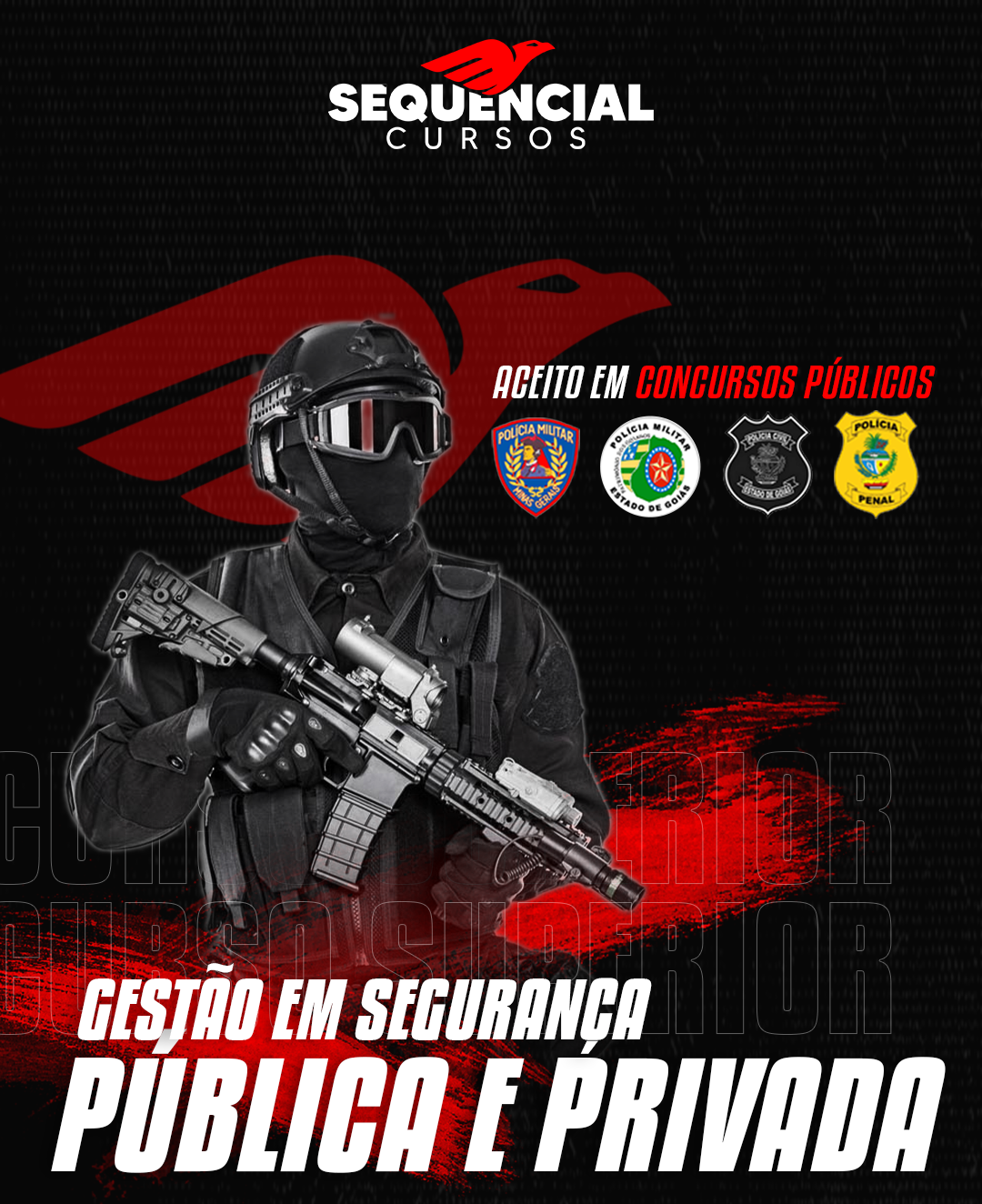 Sequencial Cursos - Gestão em Segurança Pública e Privada