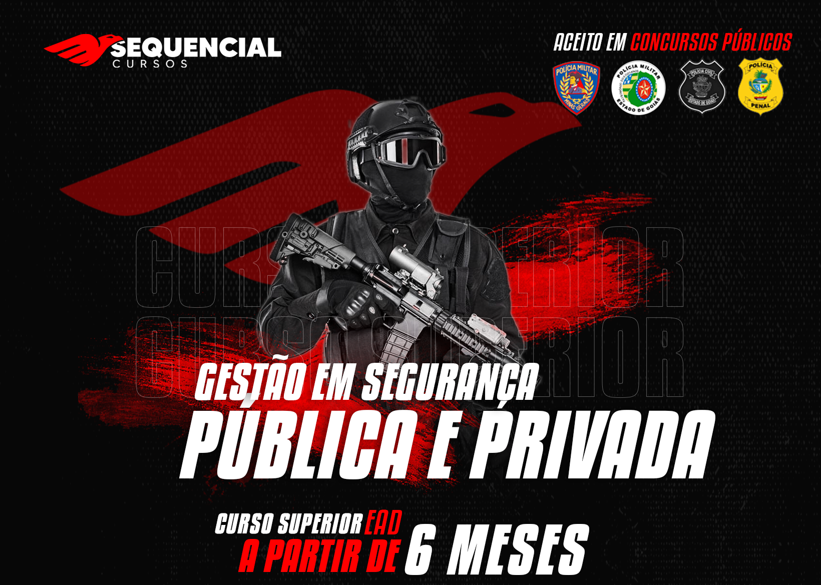 Curso Gestão em Segurança Pública e Privada - Sequencial